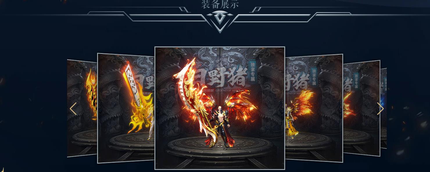 ��Ұ�����ž��临�̰汾ר����ְҵ��